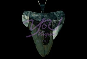 Megaladon Tooth Reimagined