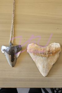 Megaladon Tooth Reimagined