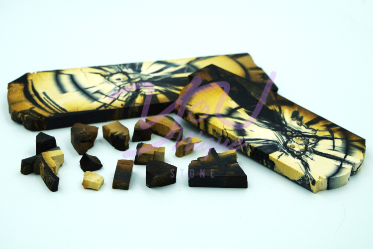 Woolly Mammoth Tusk Available